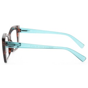 Plastic Reading Glasses